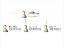 Organizational Chart Templates With Responsibilities