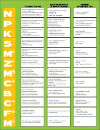 Bookfanatic89 Plant Nutrition Chart