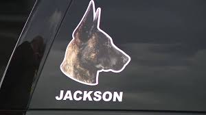 Janesville man kicked Waukesha County K-9 'devil dog:' complaint