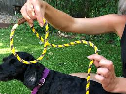 Do not pull it through the collar. How To Use The Mendota Slip Lead The Naked Dog Learn Dog Communication Slip Lead Training