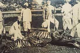 History of the Tiger in India - Tiger ...