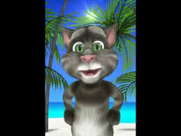 Arapca Sarki Soyleyen Kedi Youtube