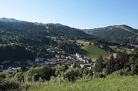 Vous avez les pédales qui démangent et l'envie furieuse de troquer les skis pour votre vtt adoré ? 8 Reasons To Holiday In Les Gets This Summer