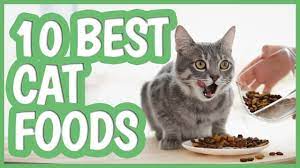 What Are The Best Cat Foods Best Cat Food Cats Cat Food