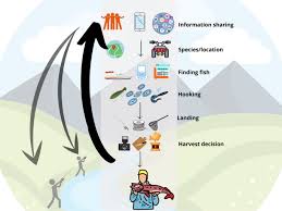 To receive, consider and adopt the audited balance sheet as at 31st march, 2010 and the profit and loss account for the six. Technological Innovations In The Recreational Fishing Sector Implications For Fisheries Management And Policy Springerlink