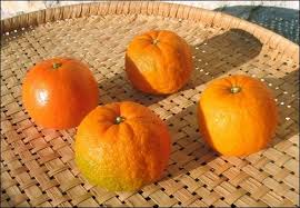 Цветок апельсина, черный чай, жасмин, гедион и перец; Oldcook Orange Ou Bigarade