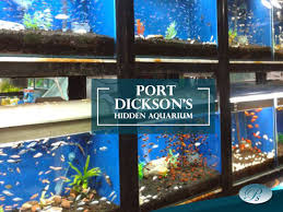 Nearby attractions include muzium tentera darat (5.4 km), pusat ikan hiasan (1.7 km), and blue lagoon beach (3.5 km). Paradise Spa Hotel Port Dickson S Hidden Aquarium Many Might Not Know This But Port Dickson Has A Mini Aquarium This Mini Aquarium Is Called Pusat Ikan Hiasan And It Is Under