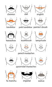Massey Digital Interactive Moustache Chart