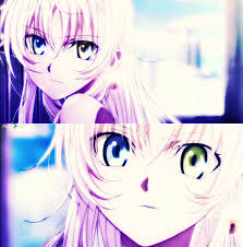 Neko Chan K Anime Anime