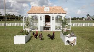 Really, green design is all about the smart use of space, and studio segers' daily needs chicken coop seems to have mastered this form. Backyard Chickens The World S Most Expensive Coop Hgtv