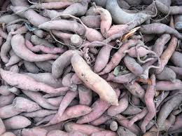 Sweet potato skin is edible, and you may miss out on some health benefits if you toss it. Eat To Beat Sweet Potato