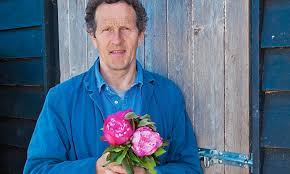 Photo of japanese tree peony suffruticosa - Best photos on ibj.tw