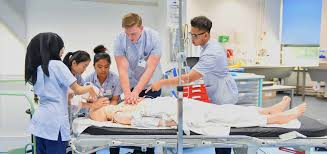 Adult Nursing Bsc Hons Degree Course London Undergraduate Courses Kingston University London