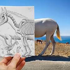Awesome celebrities drawn in pencil ; Incredible And Scary 3d Pencil Drawings By 17 Year Old Fredo Pearltrees