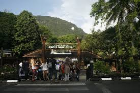 Welcome to sarawak cultural village kampung budaya sarawak terletak di kaki gunung santubong.bagi pengunjung yang ingin melawati kampung budaya sarawak,para pelancong boleh datang ke santubong yang berdekatan dengan damai beach resort. Sarawak Cultural Village Scv Asian Itinerary