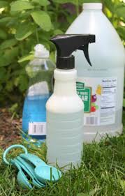 Make your own natural weed killer. Quackgrass Killer Recipe That Is Pet Safe And Effective