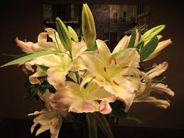 Daniel Wood Obituary (2013)