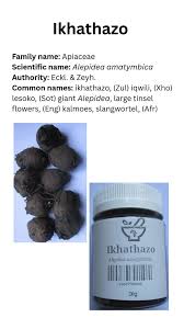 Image result for Alepidea amatymbica