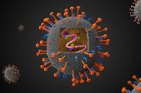 .вирус кори (measles virus), паротита (mumps virus), вирус непах (nipah virus), хендра вирус (hendra virus); The Next Pandemic Nipah Virus Gavi The Vaccine Alliance