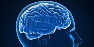 Kualitas otaklah yang membedakan kualitas individu itu sendiri. Perbedaan Sebenarnya Otak Kiri Dan Otak Kanan