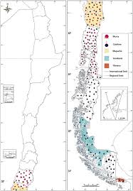 Joaquín ignacio gutiérrez jara (chiguayante, región del biobío, chile, 4 de julio de 2002), es un futbolista profesional chileno. Foods Free Full Text Phytochemicals And Traditional Use Of Two Southernmost Chilean Berry Fruits Murta Ugni Molinae Turcz And Calafate Berberis Buxifolia Lam Html