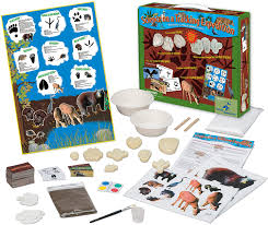 Terrestrial mammals have legs, aquatic or marine have fins and. Amazon Com Nature Series Science On Tracking Expedition Toys Games