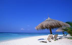 Check spelling or type a new query. 47 Beach Images For Backgrounds