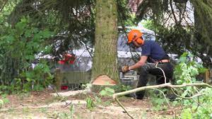 Der gartenbesitzer bat daraufhin seine miteigentümer um zustimmung zur fällung des baumes und kostenbeteiligung. Baum In Garten Fallen Mit Hilfe Eines Greifzuges Youtube