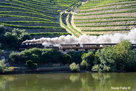 O objetivo da criação deste grupo, visa promover o o. Comboio Historico Douro World Heritage
