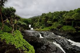 Image result for Kuloa