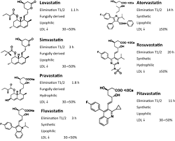 pleiotropic effects of statins on the cardiovascular system