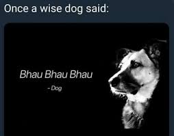 🐕🐕🐶🐶 Once a wise dog said: Bhau Bhau Bhau -Dog Dog | Facebook