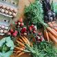 Tallahassee Farmers Market event image