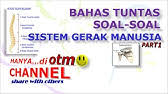 Maybe you would like to learn more about one of these? Pembahasan 30 Soal Hots Zat Aditif Dan Zat Adiktif Kelas 8 Mikumita Channel Youtube