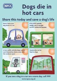 Maybe you would like to learn more about one of these? Dogs Trapped In Hot Cars Nottinghamshire Police