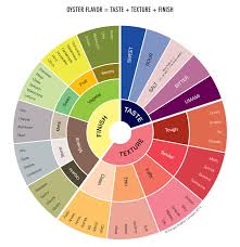 Introducing The Pangea Oyster Flavor Wheel Pangea