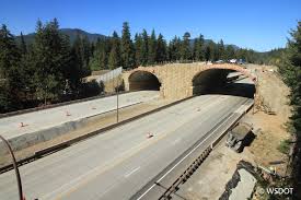 bridging an interstate in washington state conservation