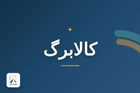 روش های استعلام کالابرگ الکترونیکی/ چطور موجودی کالابرگ خود را ببینیم؟