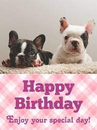 On this special day, i wish that the every day of your next year be filled with love. 12 Bulldoggen Ideen Geburtstag Grusse Geburtstag Bilder Lustig Gluckwunsche Geburtstag