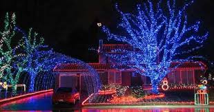 Wrapping Trees With Christmas Lights Christmas Lights Etc Outdoor Led Christmas Lights Christmas Light Installation Outdoor Christmas Lights