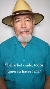 Del Árbol Caído Todos Quieren Hacer Leña