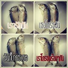 ปร ชญาผ านปลาท