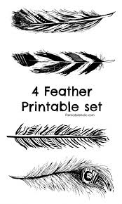 Paper feathers are a fun, cheaper and hypoallergenic. Feather Printables Free Printable Wall Art Wall Printables Feather Wall Art