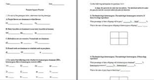 Punnett Square Practice Worksheets With Answer Keys By The Science Lady Work power and energy worksheets answers. punnett square practice worksheets with answer keys