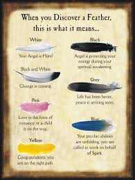 When You Discover A Feather This Is What It Means Feather Magic Feather Meaning Halloween Spell Book