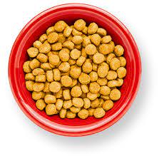 Butterscotch tastes best when it's served hot! Natural Brown For Pet Kibble And Extruded Treats Sensient Food Colors Sensient Food Colors