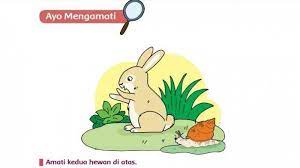 We did not find results for: Kunci Jawaban Tema 1 Kelas 5 Halaman 42 43 44 45 46 47 48 49 50 Subtema 1 Pembelajaran 5 Organ Gerak Halaman All Tribun Jateng