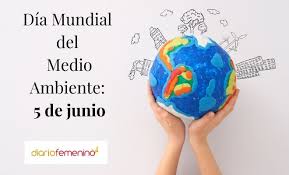 Cuándo se celebra y por qué. 106 Frases De La Naturaleza Para El Dia Mundial Del Medio Ambiente