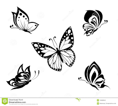 Black And White Simple Simple Floral Design Butterfly Clipart Farfalle Bianco E Nero Del Tatuaggio Insieme 16688846 Jpg 1300 1173 Weisser Schmetterling Tattoo Kleine Blume Tatowierungen Blumentattoos
