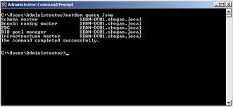 A Quick Way Of Finding Out Where Your Fsmo Roles Reside - Shogan.tech
